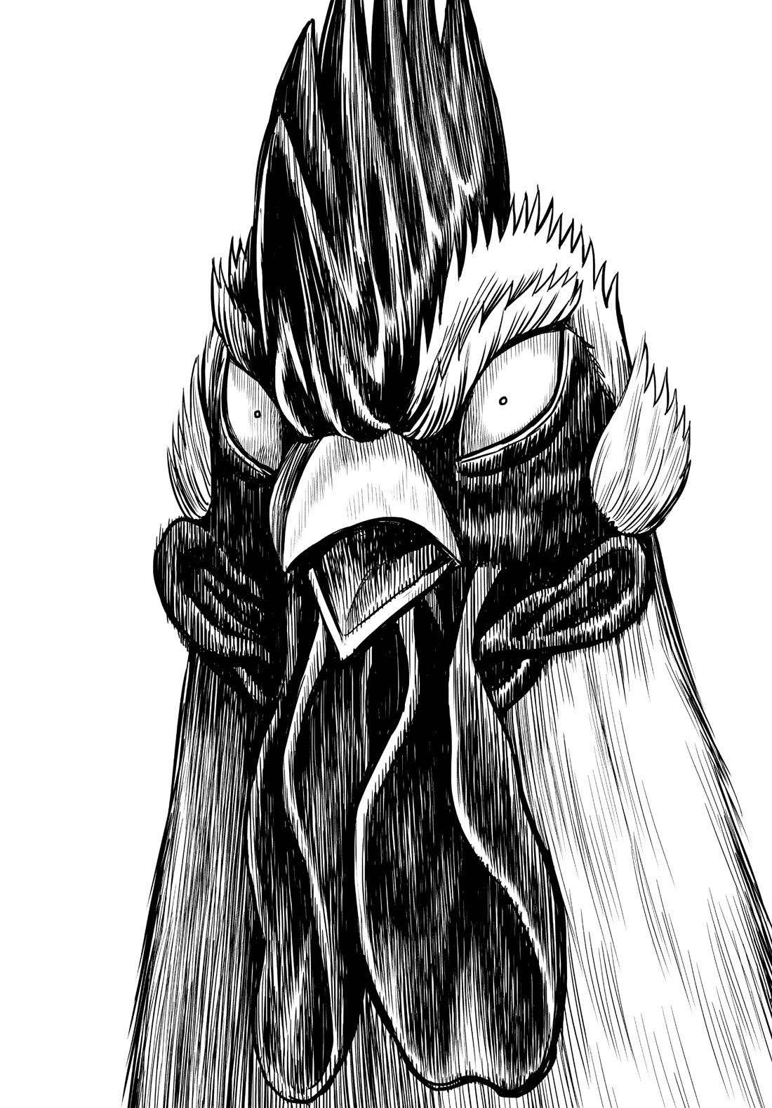 Rooster Fighter Chapter 4 page 6 - Chapter 4