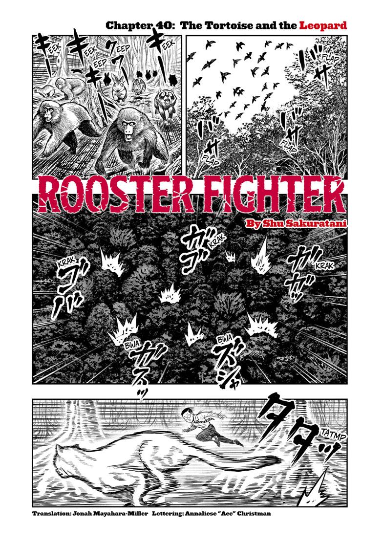 Rooster Fighter Chapter 40 thumbnail