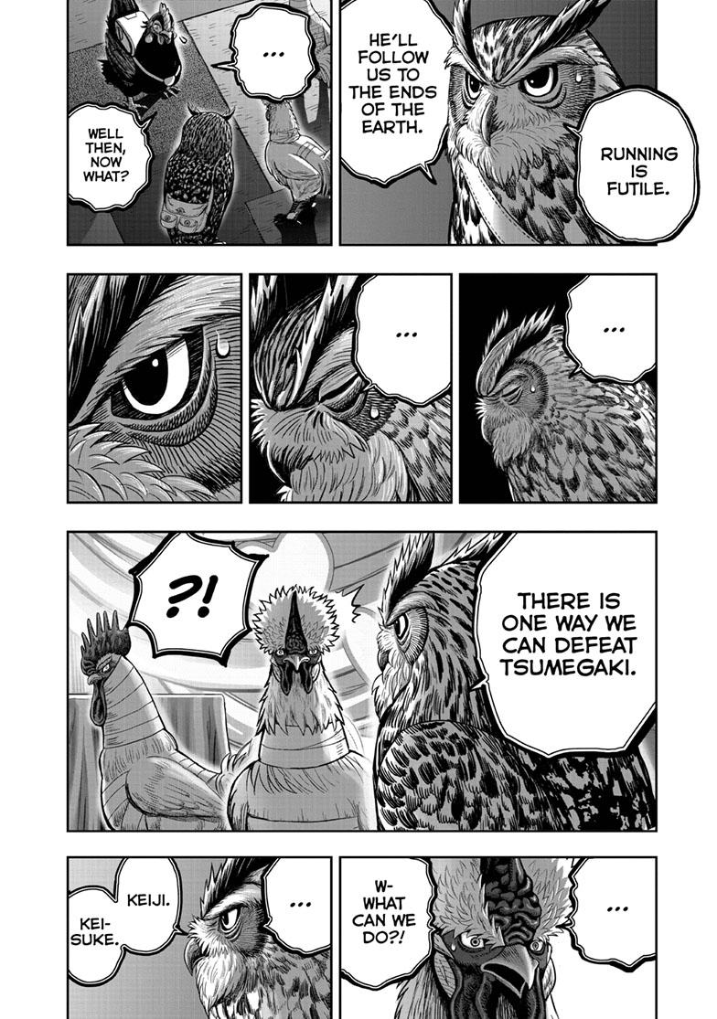 Rooster Fighter Chapter 41 page 22 - Chapter 41
