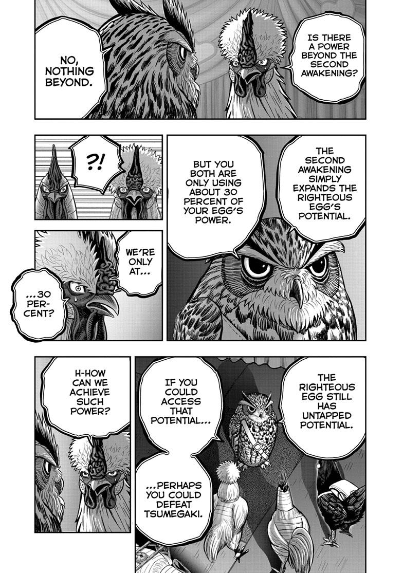 Rooster Fighter Chapter 41 page 25 - Chapter 41