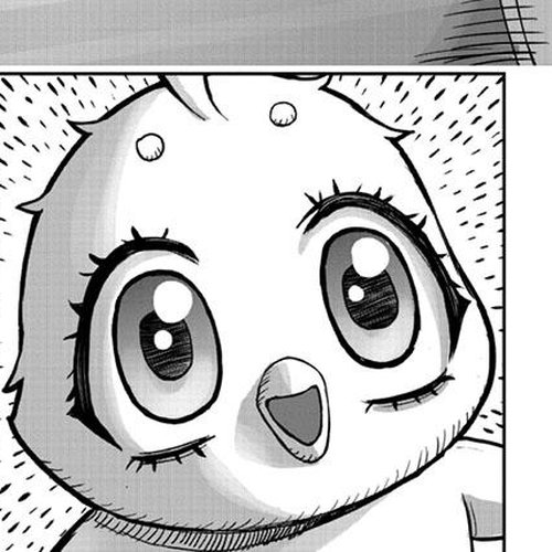 Rooster Fighter Chapter 42 cover