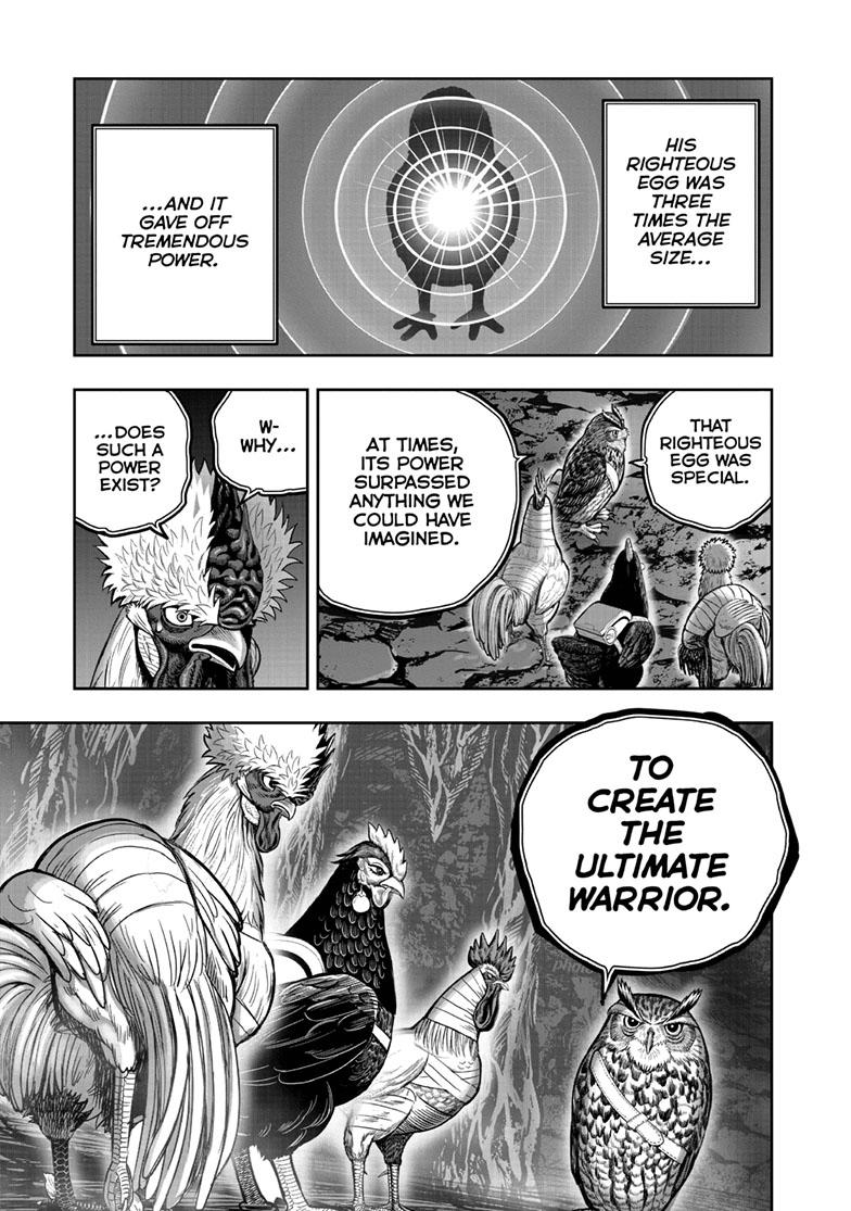 Rooster Fighter Chapter 43 page 19 - Chapter 43