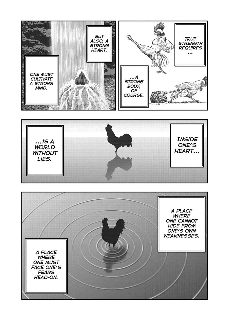 Rooster Fighter Chapter 43 page 20 - Chapter 43