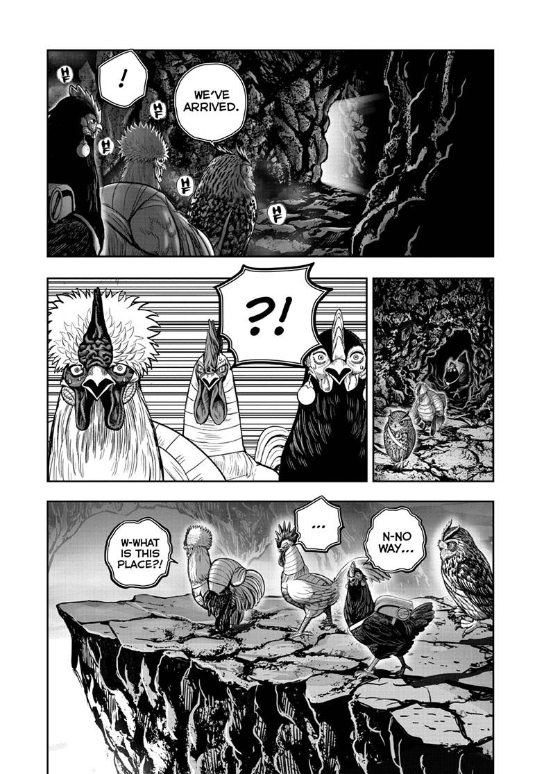Rooster Fighter Chapter 43 page 9 - Chapter 43