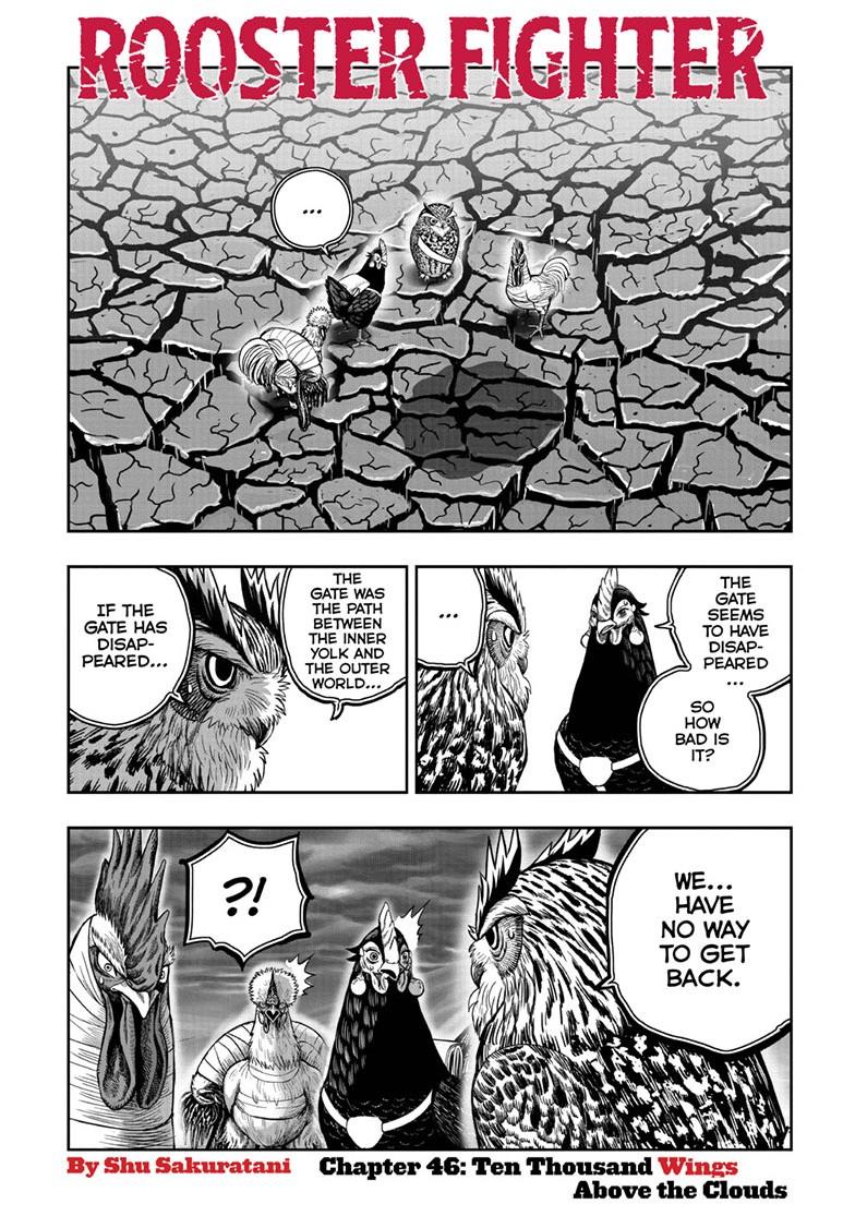 Rooster Fighter Chapter 46 page 1 - Chapter 46