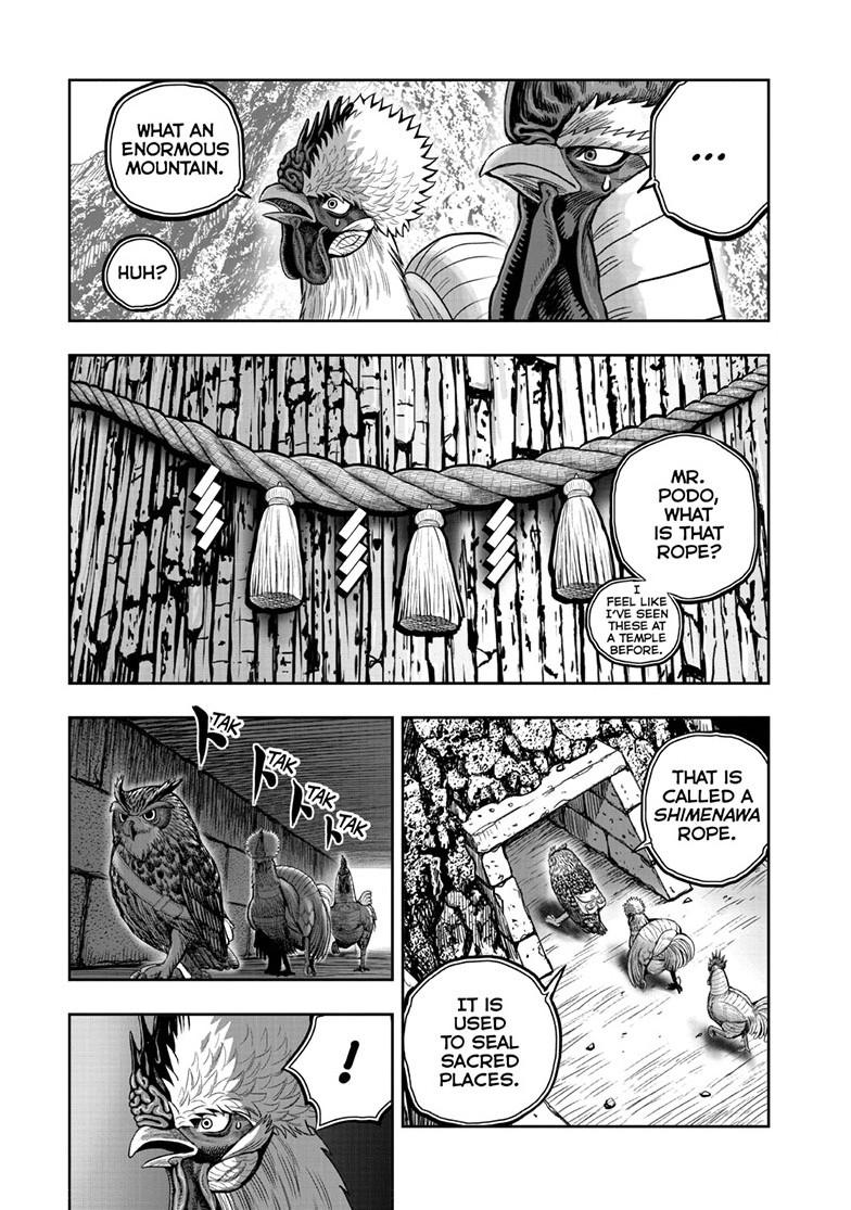 Rooster Fighter Chapter 46 page 15 - Chapter 46