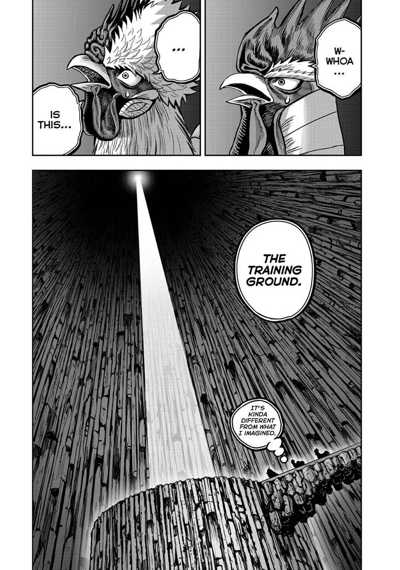 Rooster Fighter Chapter 46 page 17 - Chapter 46