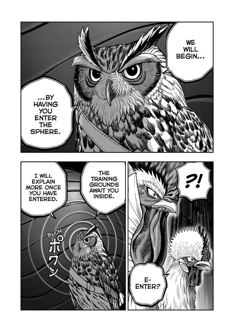 Rooster Fighter Chapter 46 page 24 - Chapter 46