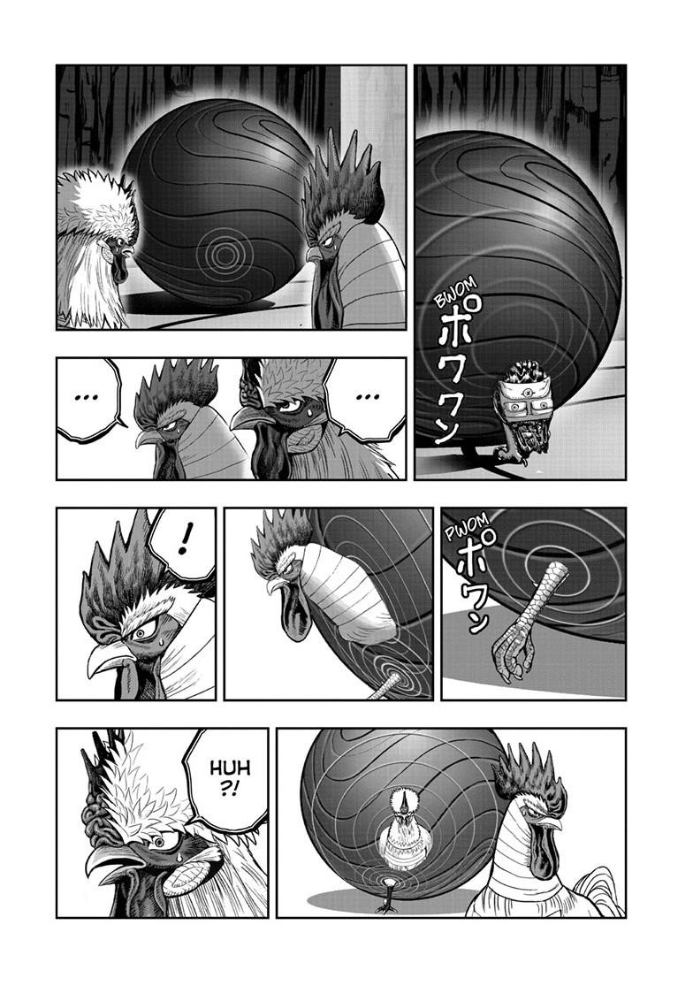 Rooster Fighter Chapter 46 page 25 - Chapter 46