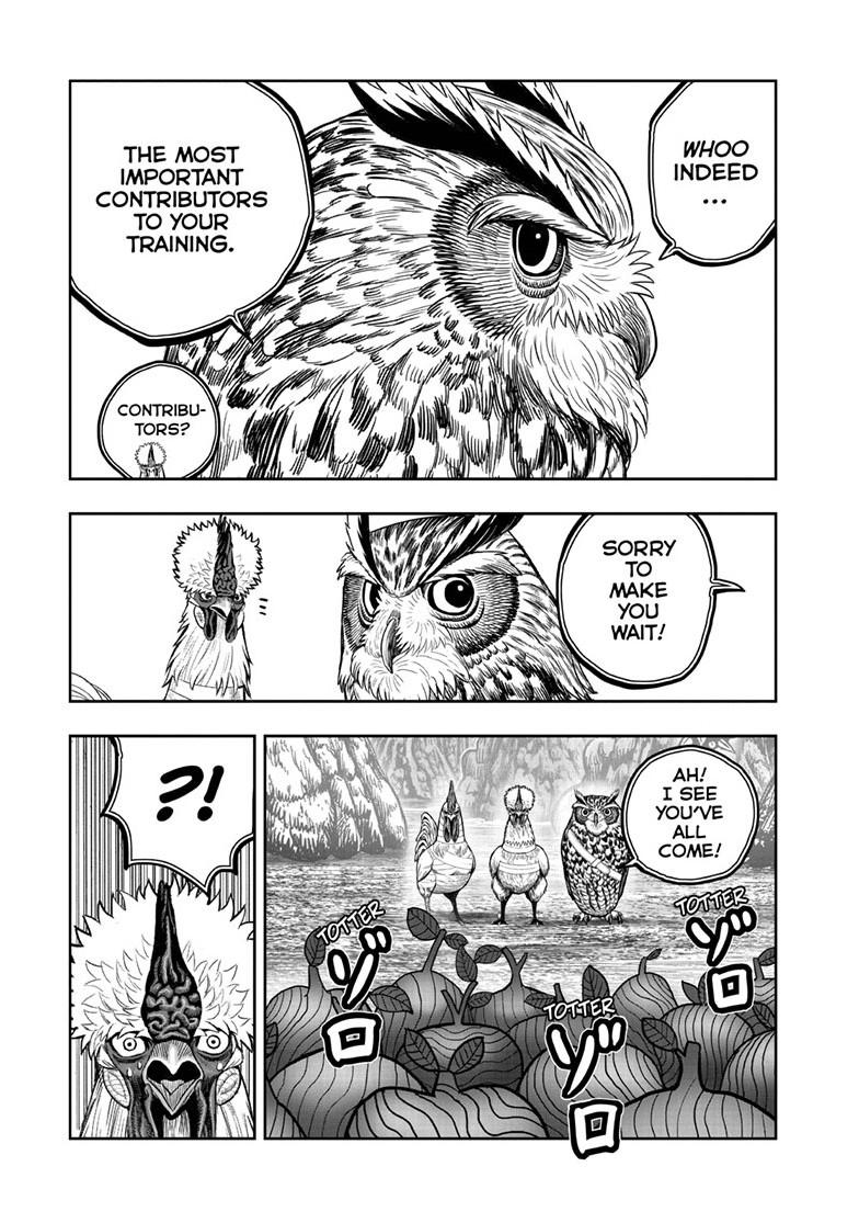 Rooster Fighter Chapter 46 page 31 - Chapter 46