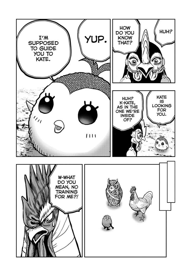 Rooster Fighter Chapter 47 page 15 - Chapter 47