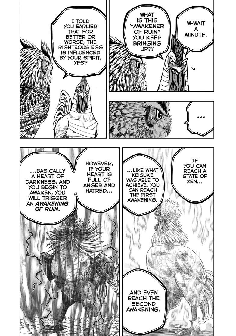 Rooster Fighter Chapter 47 page 17 - Chapter 47
