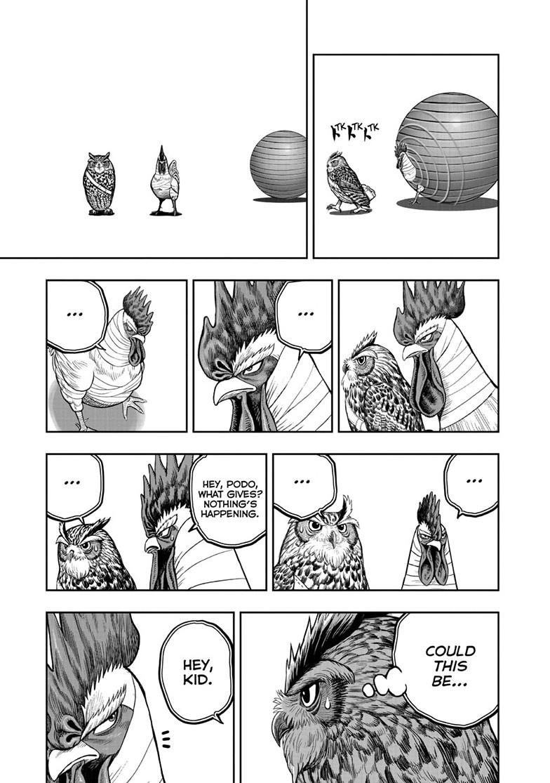 Rooster Fighter Chapter 47 page 9 - Chapter 47
