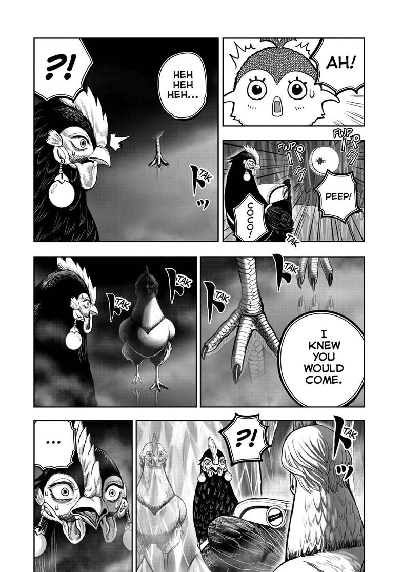 Rooster Fighter Chapter 48 page 17 - Chapter 48