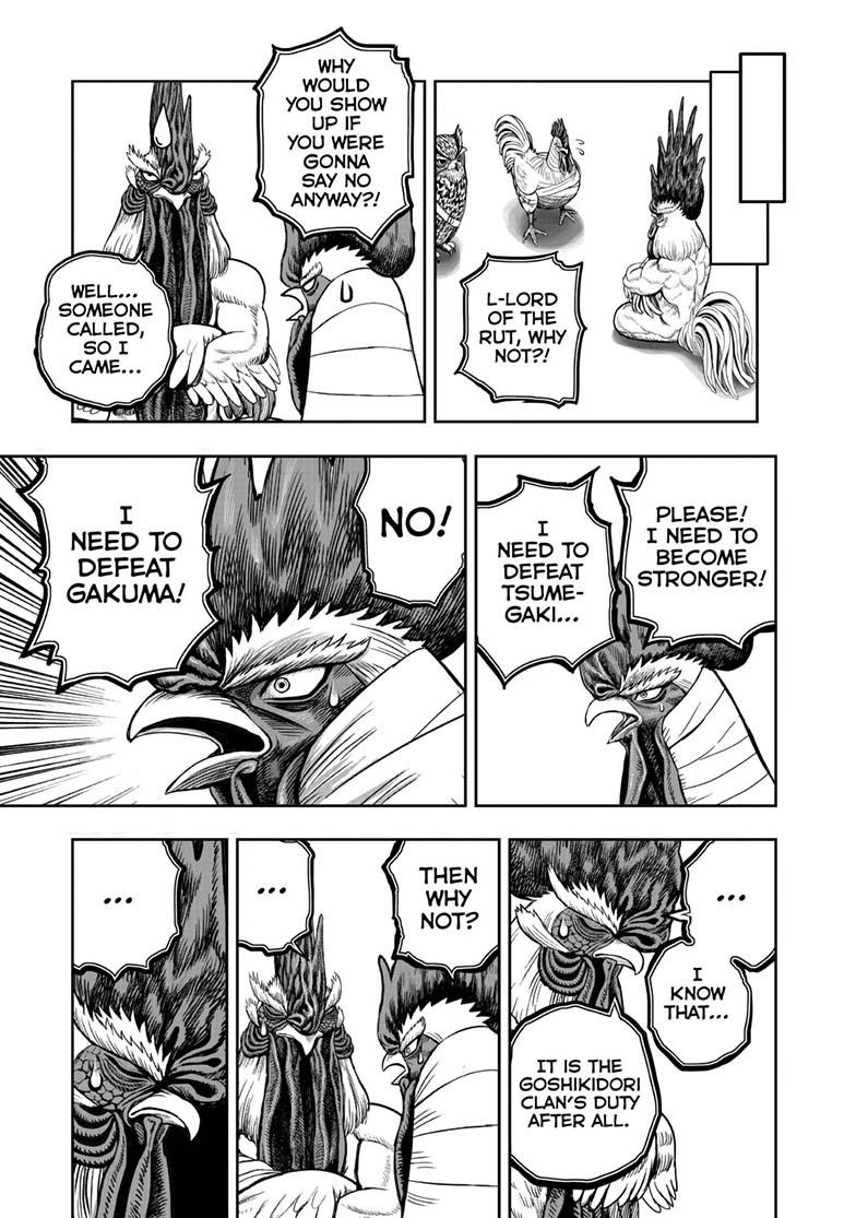 Rooster Fighter Chapter 48 page 19 - Chapter 48