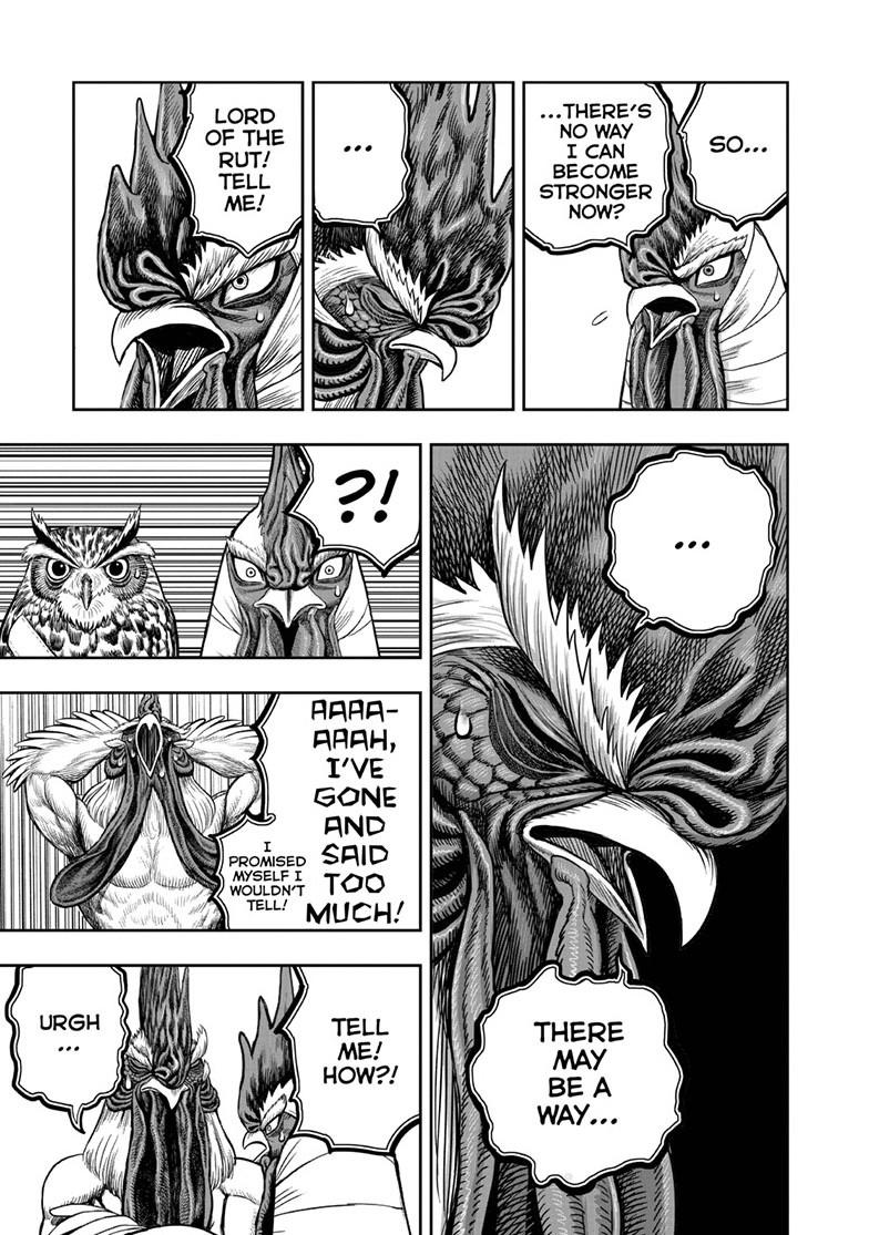 Rooster Fighter Chapter 48 page 21 - Chapter 48