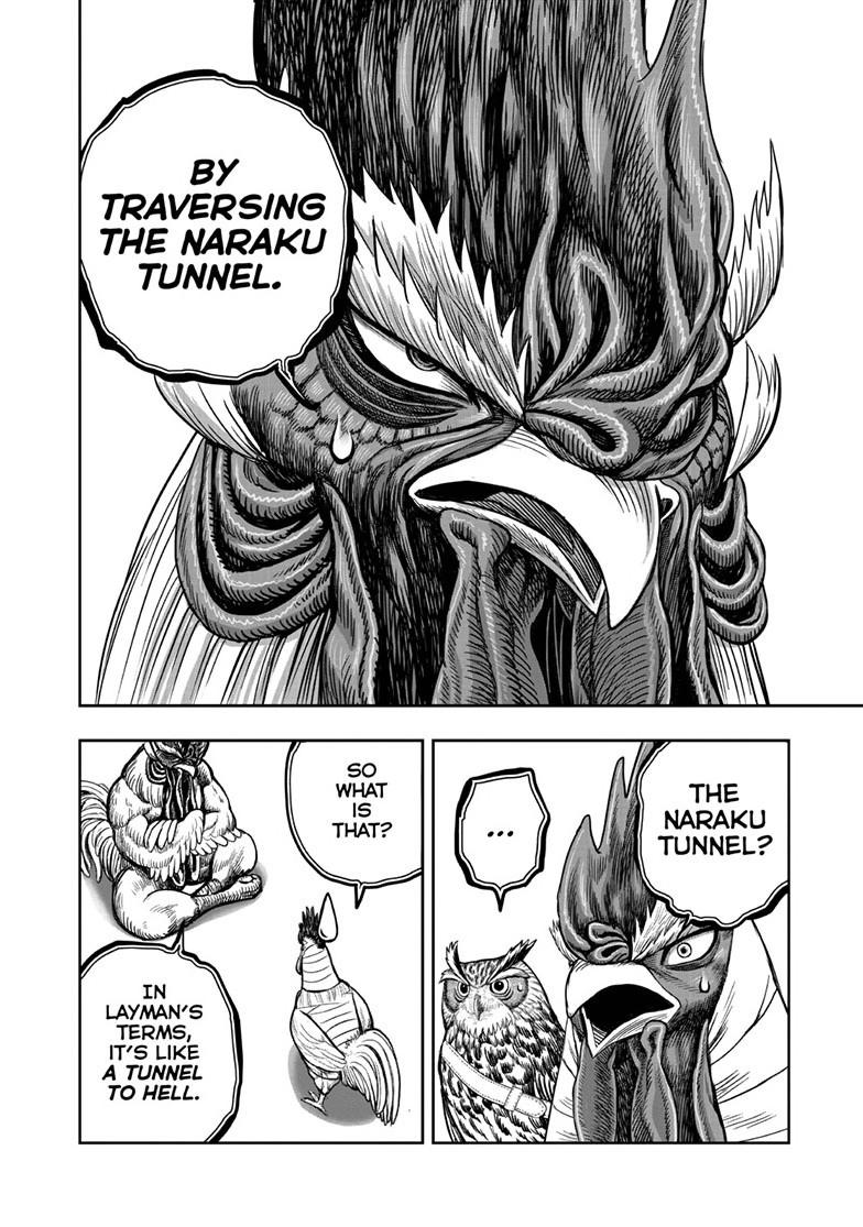 Rooster Fighter Chapter 48 page 22 - Chapter 48
