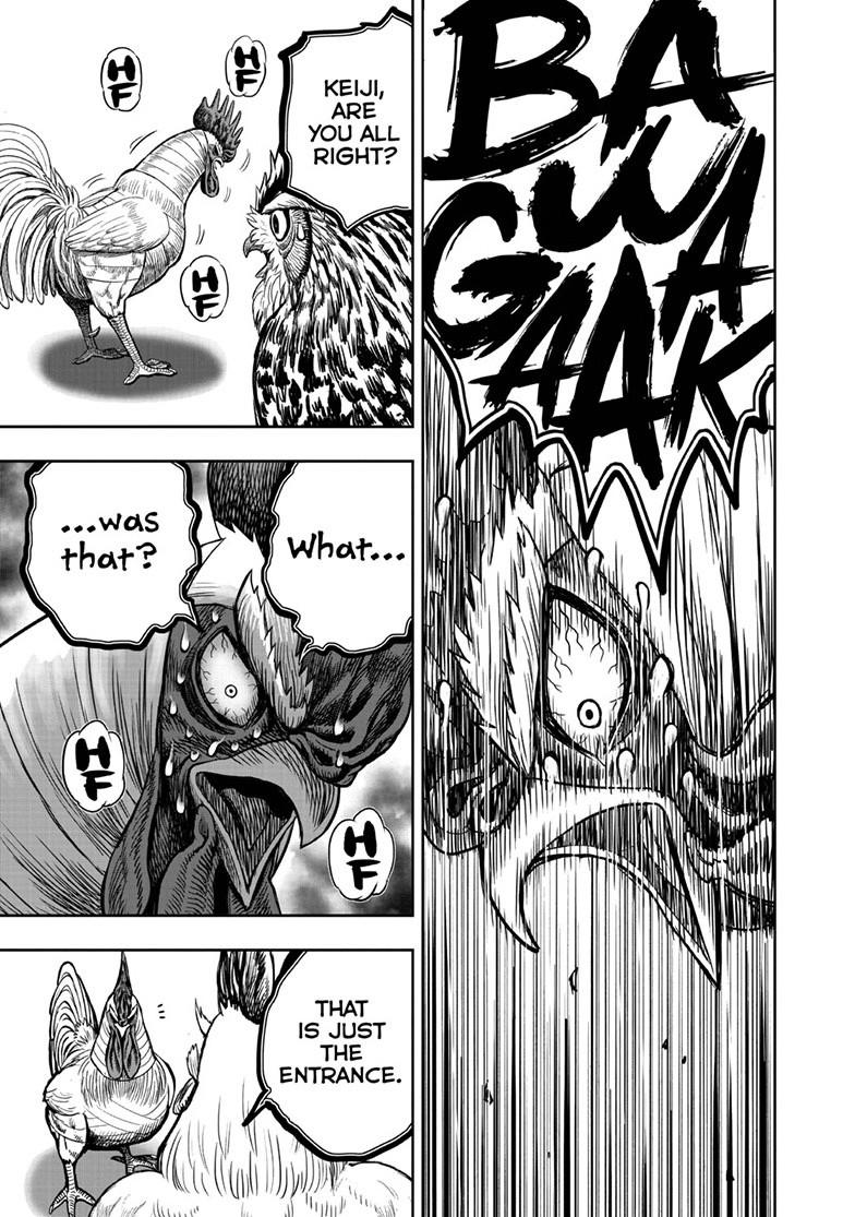 Rooster Fighter Chapter 48 page 27 - Chapter 48