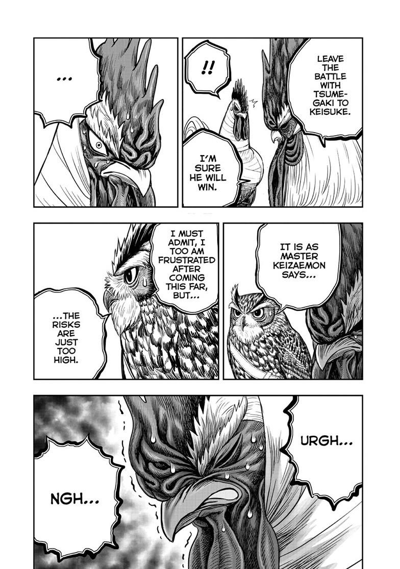 Rooster Fighter Chapter 48 page 31 - Chapter 48