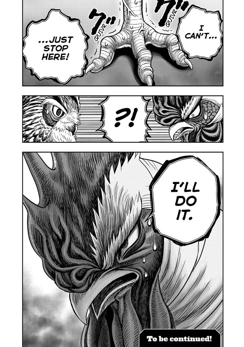 Rooster Fighter Chapter 48 page 32 - Chapter 48