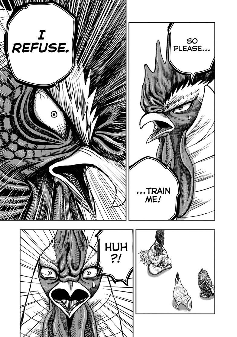 Rooster Fighter Chapter 48 page 7 - Chapter 48