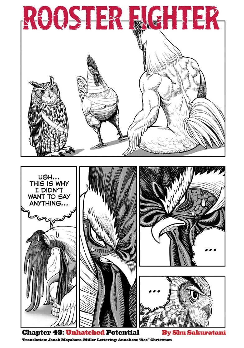 Rooster Fighter Chapter 49 page 1 - Chapter 49