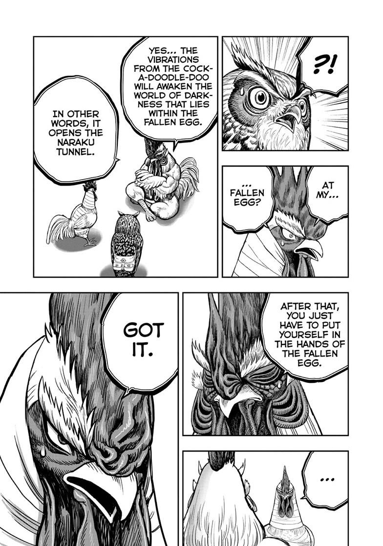 Rooster Fighter Chapter 49 page 3 - Chapter 49