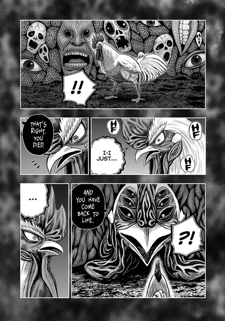 Rooster Fighter Chapter 49 page 32 - Chapter 49
