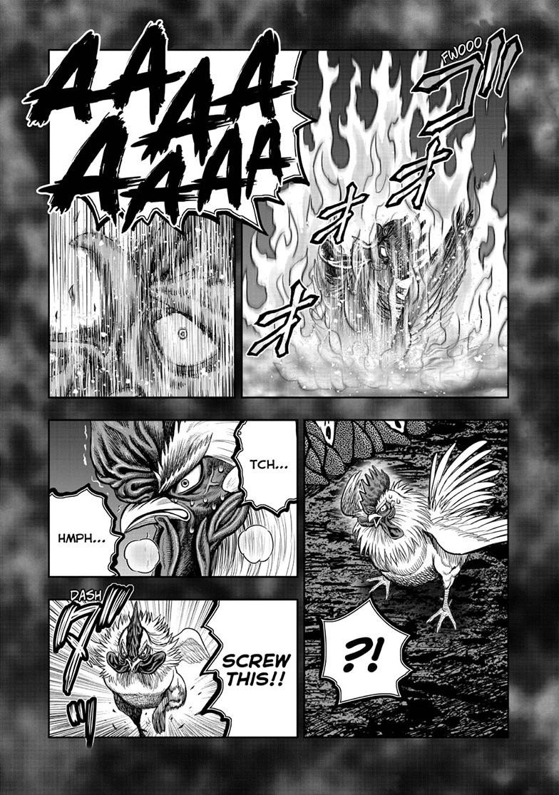 Rooster Fighter Chapter 49 page 35 - Chapter 49