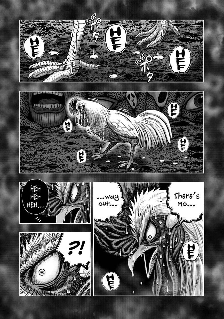 Rooster Fighter Chapter 49 page 37 - Chapter 49