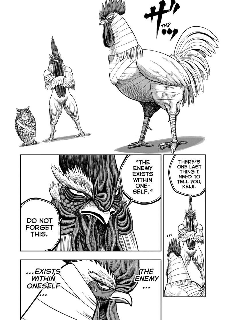 Rooster Fighter Chapter 49 page 4 - Chapter 49