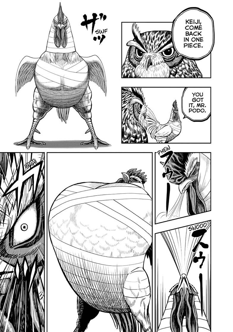Rooster Fighter Chapter 49 page 5 - Chapter 49