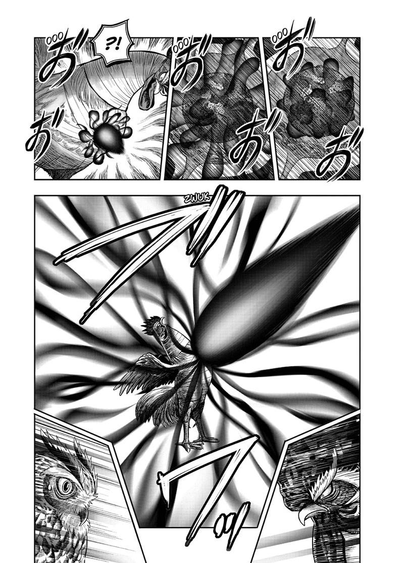 Rooster Fighter Chapter 49 page 7 - Chapter 49