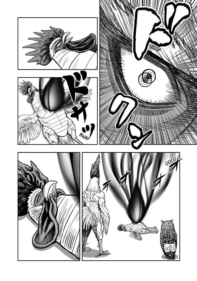 Rooster Fighter Chapter 49 page 8 - Chapter 49