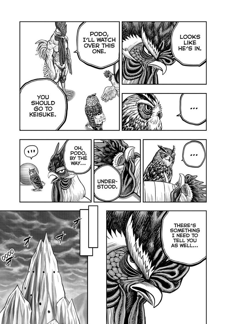 Rooster Fighter Chapter 49 page 9 - Chapter 49