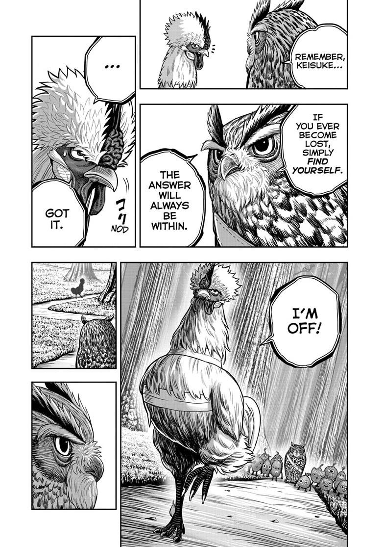 Rooster Fighter Chapter 50 page 13 - Chapter 50
