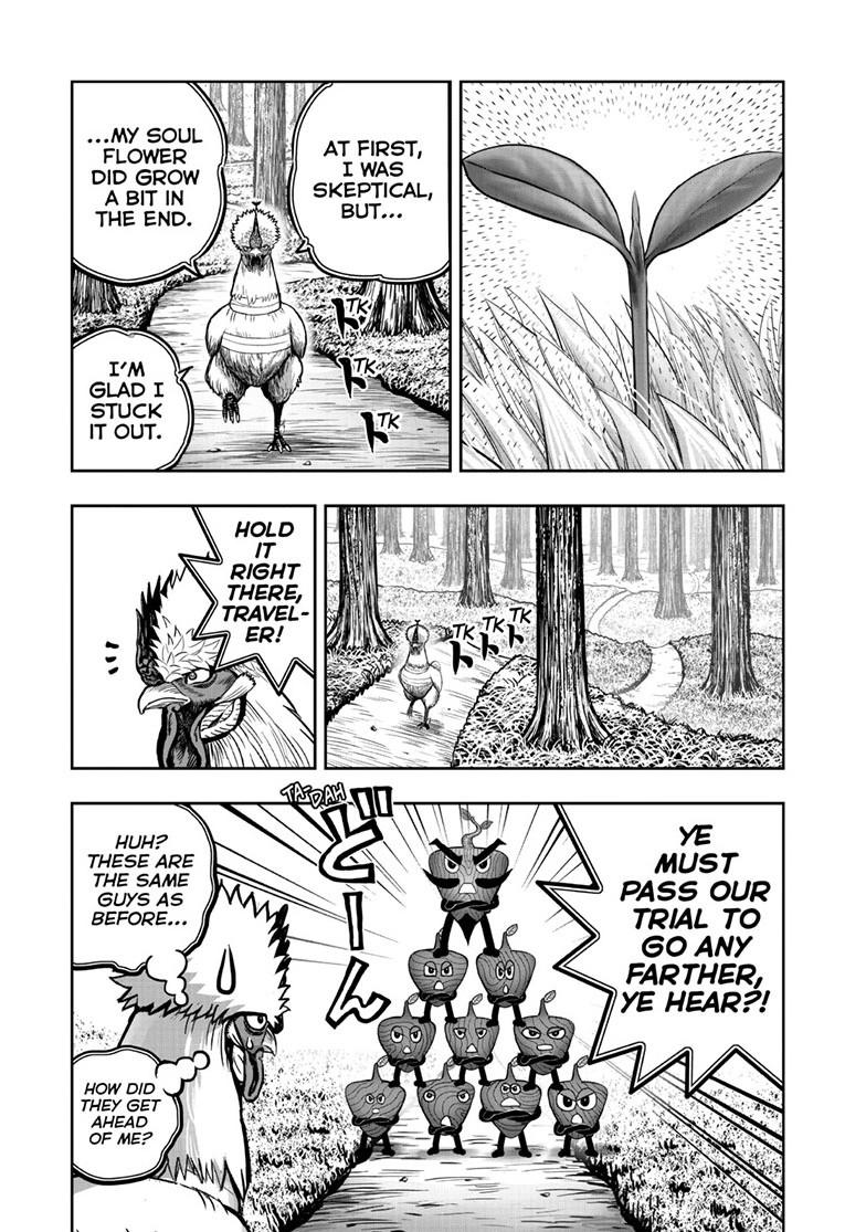 Rooster Fighter Chapter 50 page 17 - Chapter 50