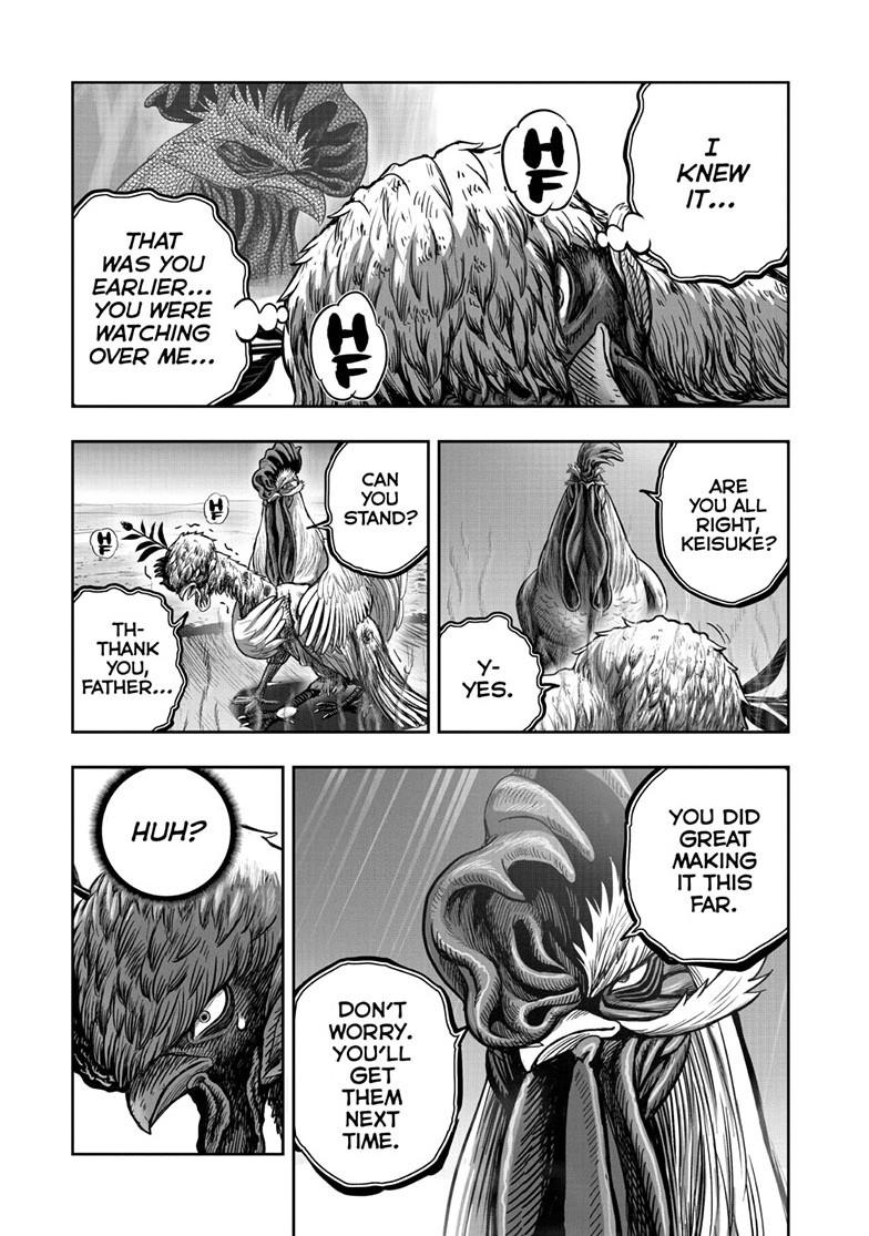 Rooster Fighter Chapter 50 page 33 - Chapter 50