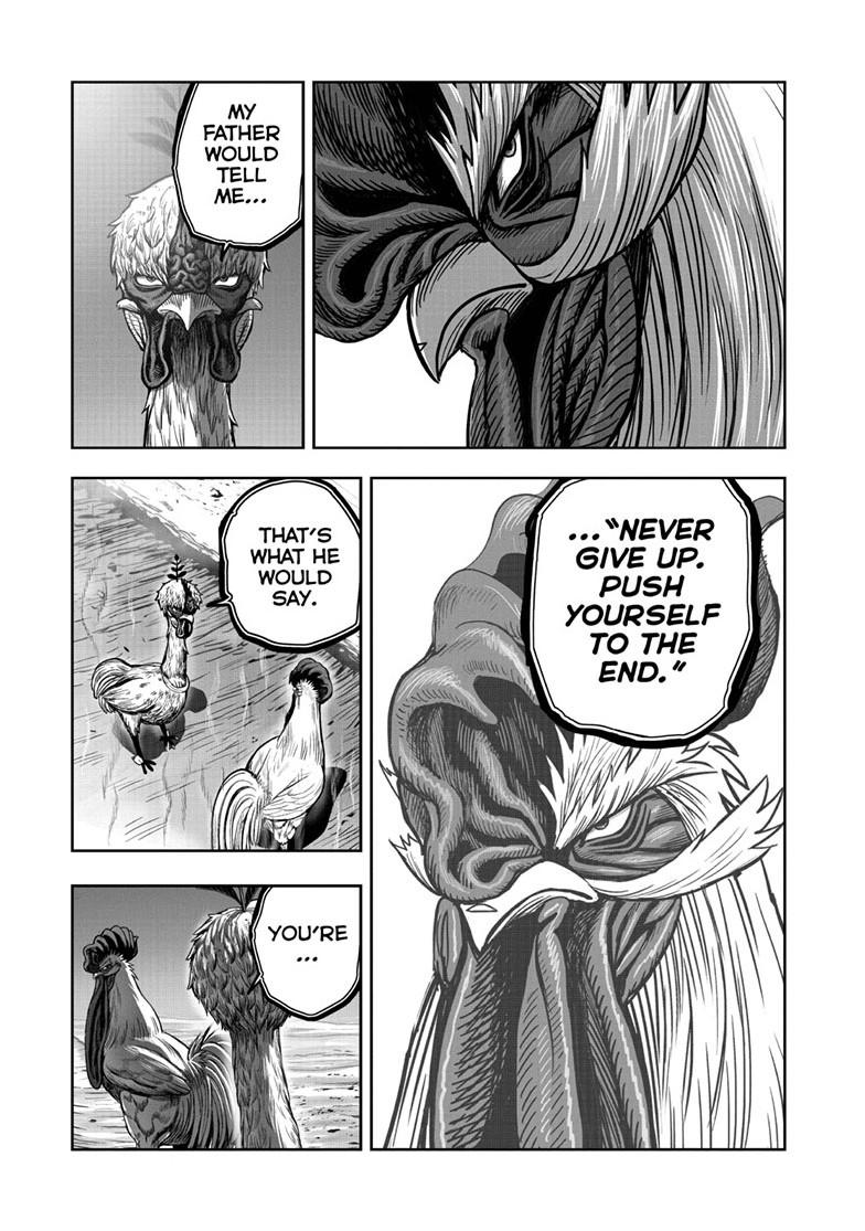 Rooster Fighter Chapter 50 page 35 - Chapter 50