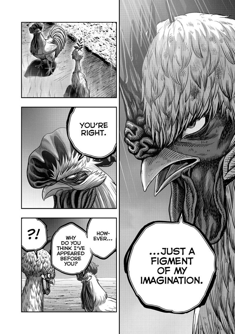 Rooster Fighter Chapter 50 page 36 - Chapter 50