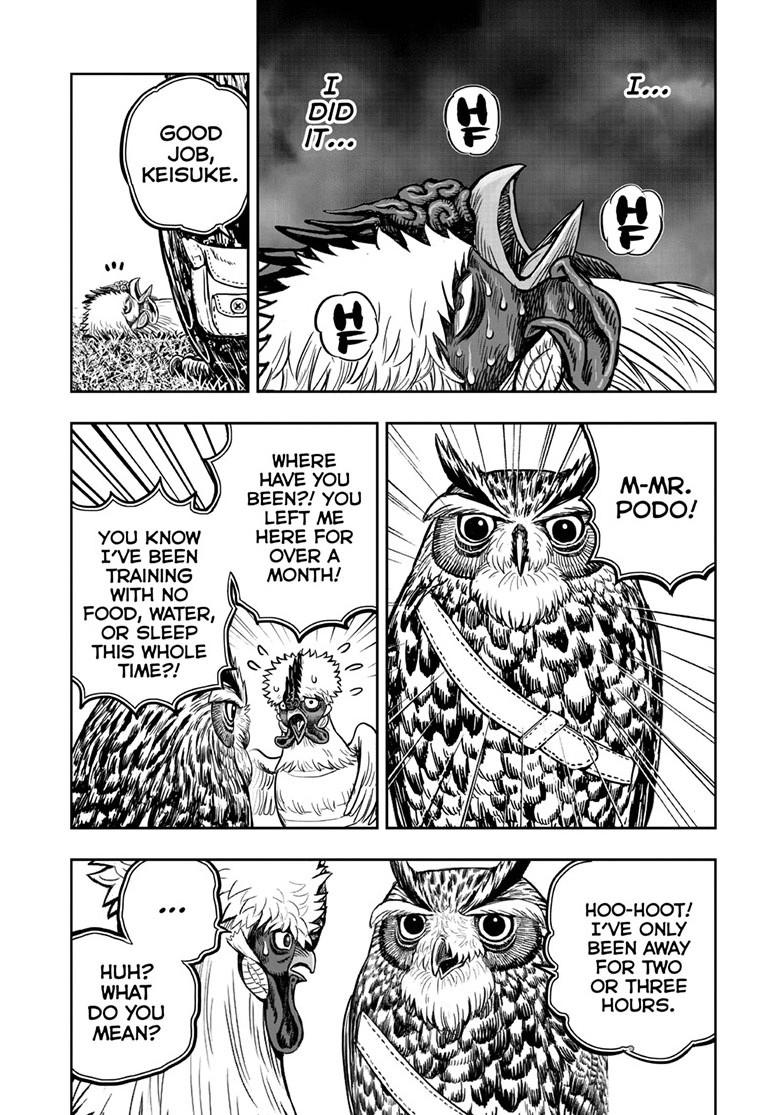 Rooster Fighter Chapter 50 page 4 - Chapter 50