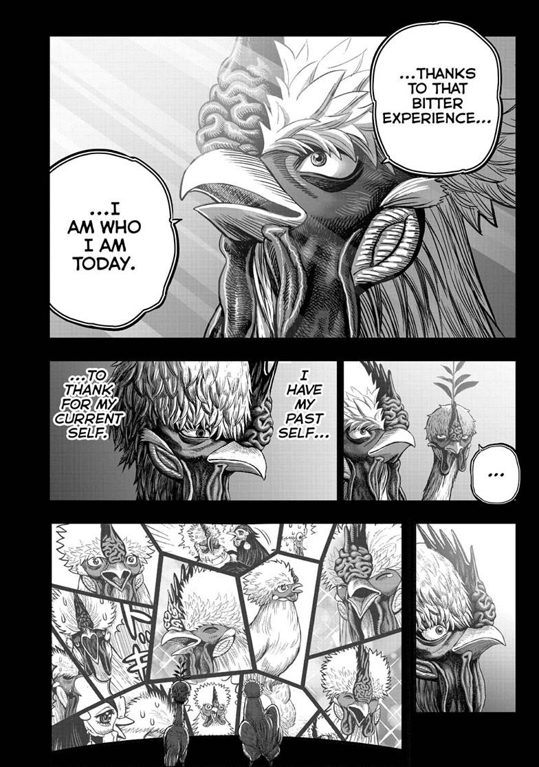 Rooster Fighter Chapter 50 page 46 - Chapter 50