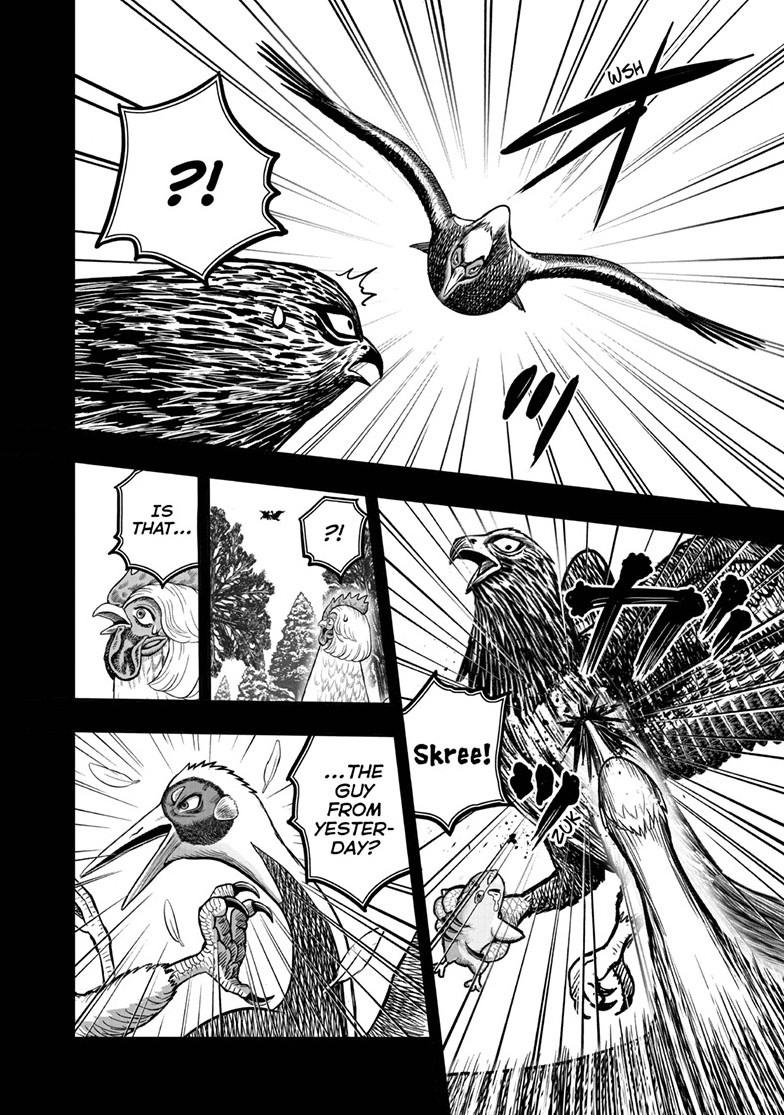 Rooster Fighter Chapter 51 page 26 - Chapter 51