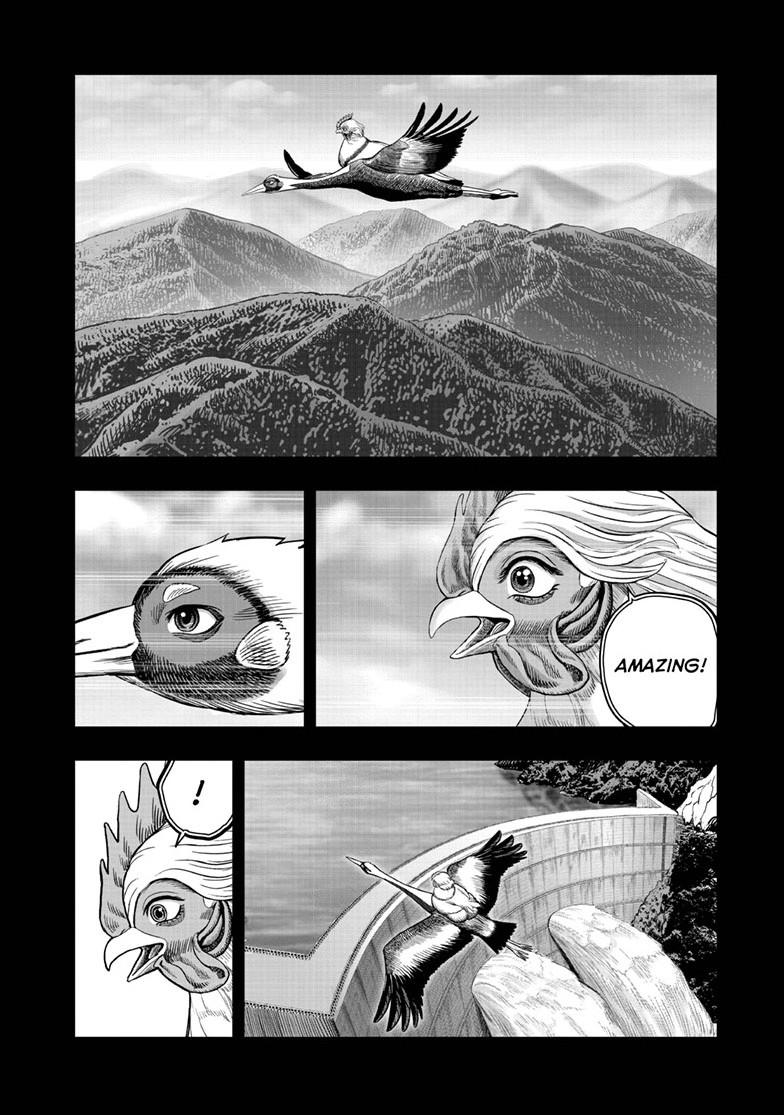 Rooster Fighter Chapter 51 page 36 - Chapter 51