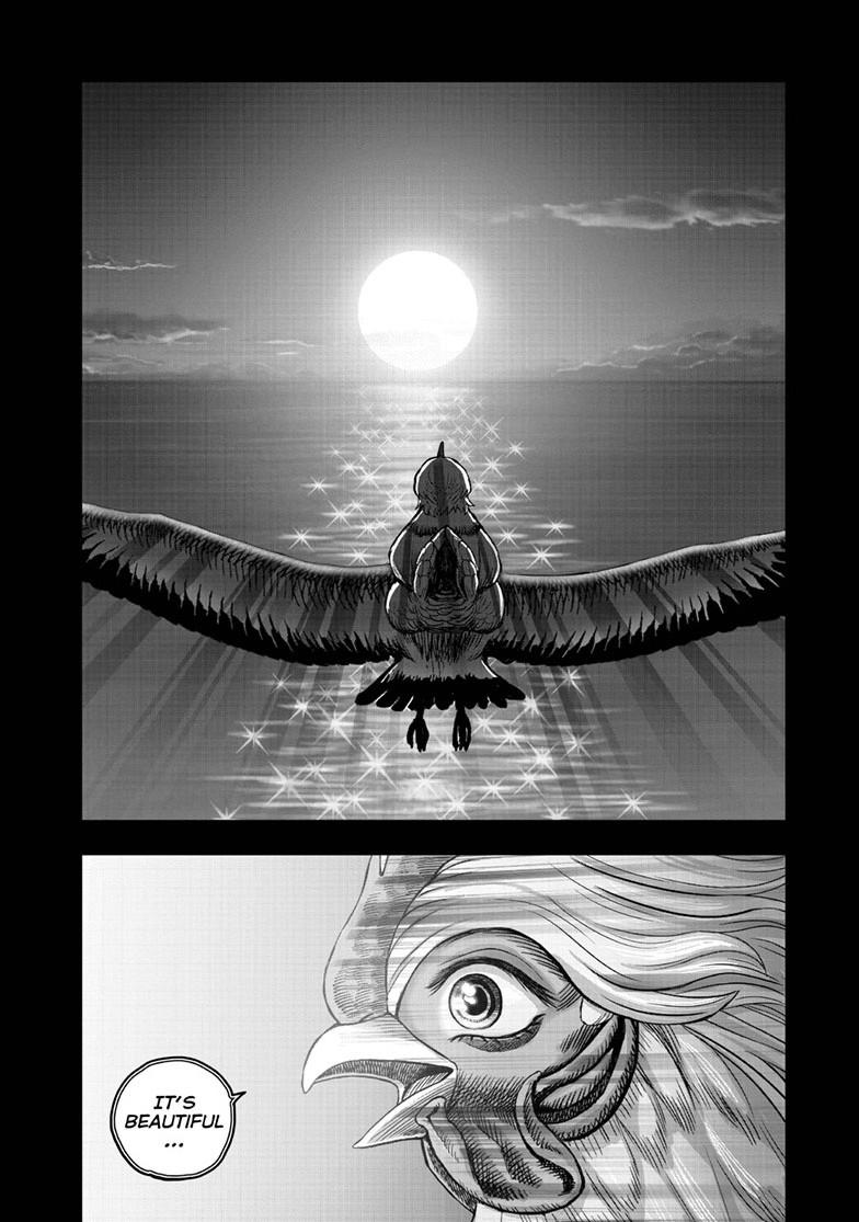 Rooster Fighter Chapter 51 page 40 - Chapter 51