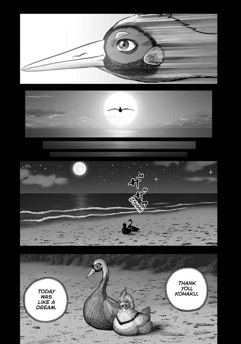 Rooster Fighter Chapter 51 page 41 - Chapter 51