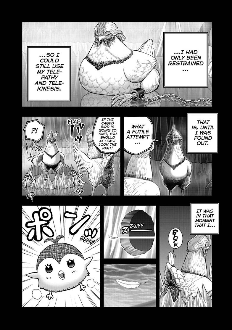 Rooster Fighter Chapter 51 page 6 - Chapter 51