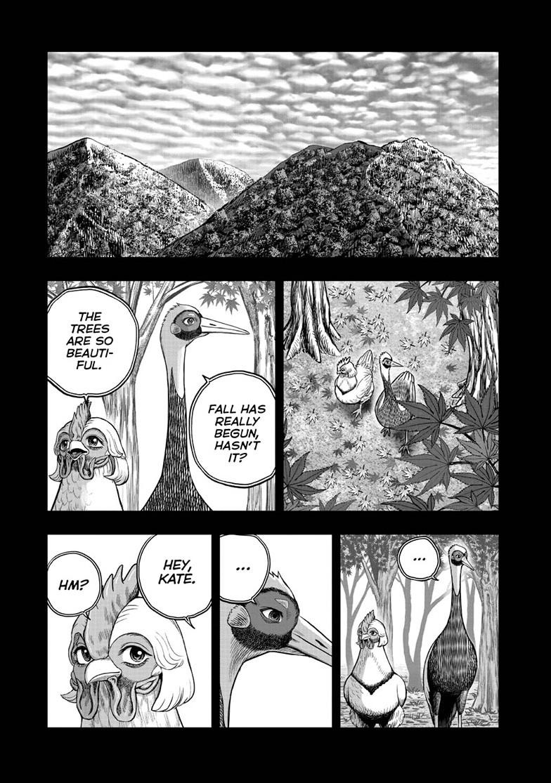 Rooster Fighter Chapter 52 page 11 - Chapter 52