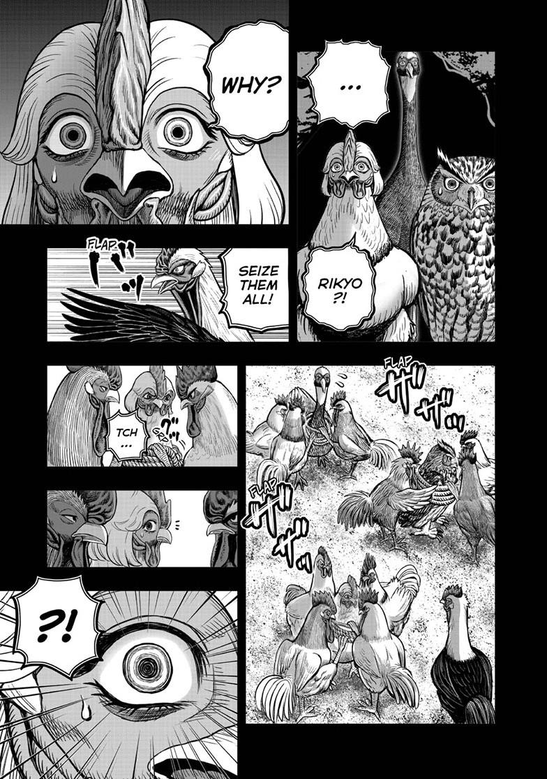 Rooster Fighter Chapter 52 page 31 - Chapter 52
