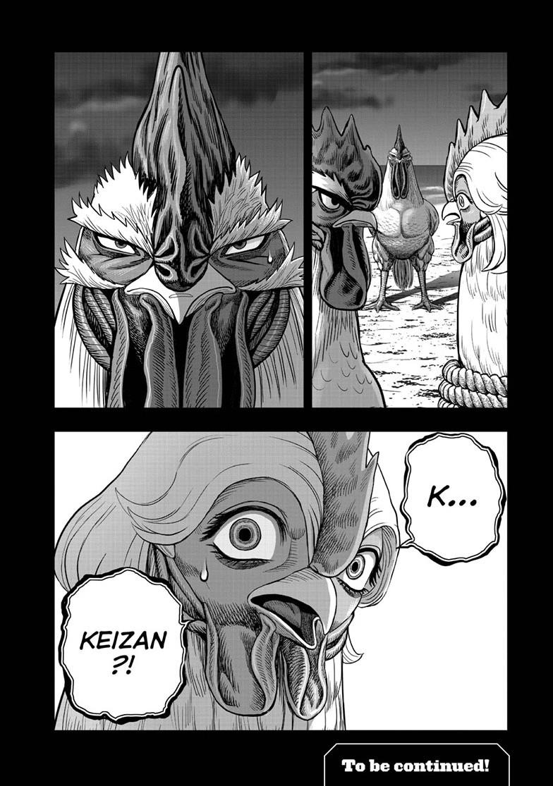 Rooster Fighter Chapter 52 page 32 - Chapter 52